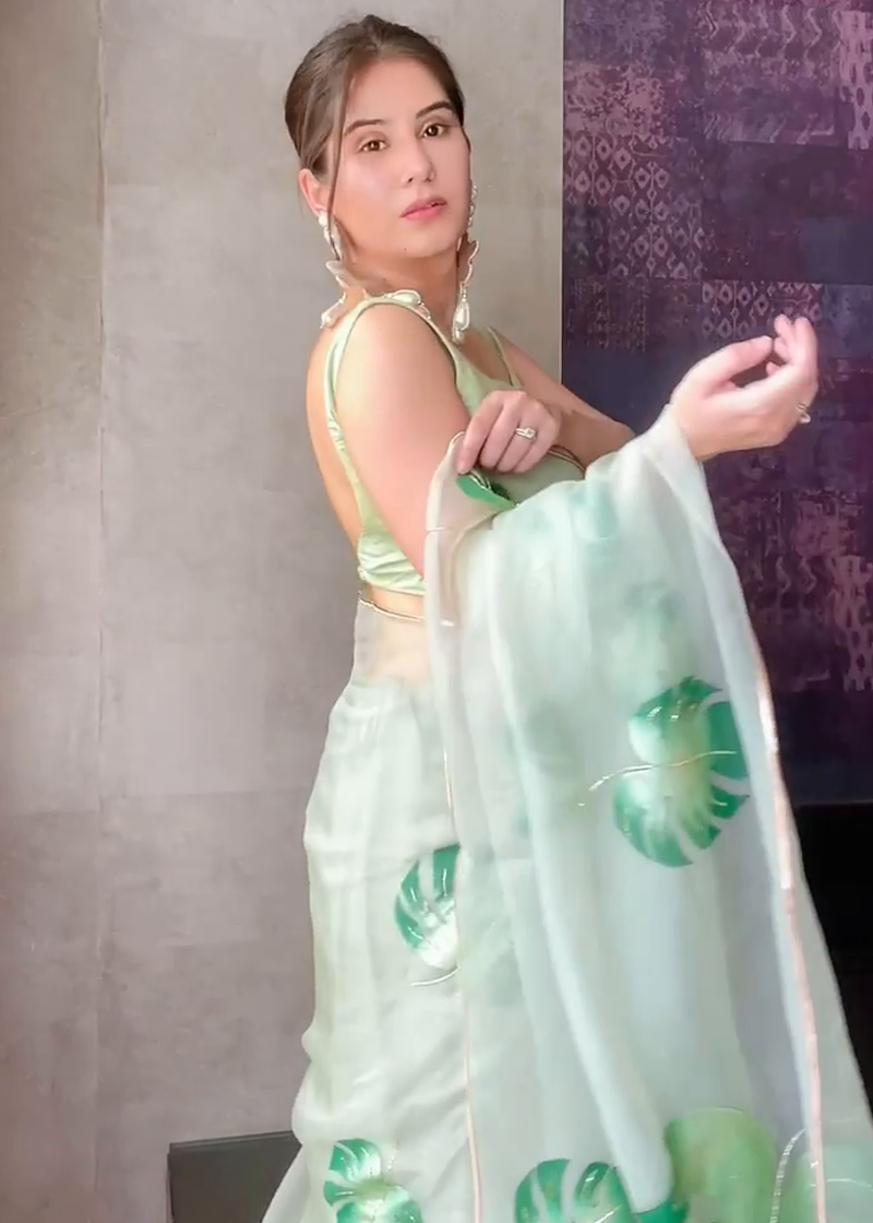 Hand-painted Pista Green Silk Organza Saree